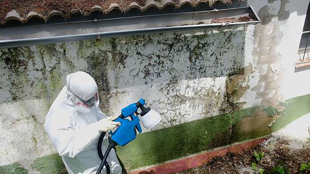 Top rated local Attic Mold Remediation specialists in Mount Royal, NJ